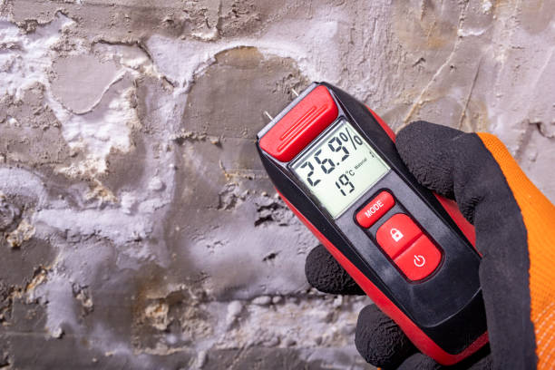 Best Mold Testing and Removal  in Sun City, AZ